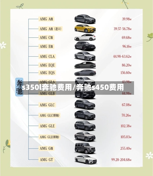 s350l奔驰费用/奔驰s450费用