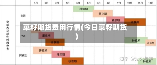 菜籽期货费用行情(今日菜籽期货)-第2张图片
