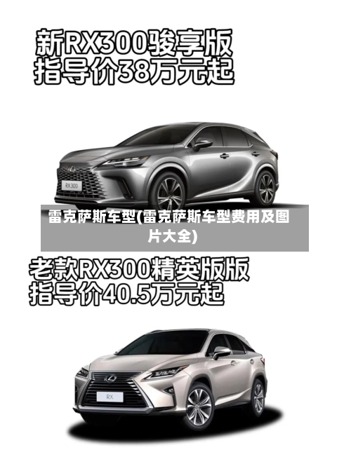 雷克萨斯车型(雷克萨斯车型费用及图片大全)-第3张图片
