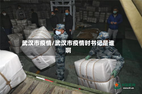武汉市疫情/武汉市疫情时书记是谁啊