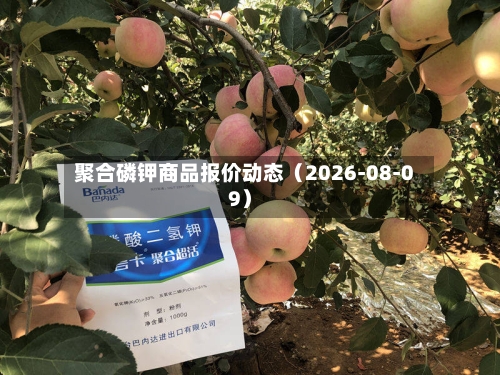 聚合磷钾商品报价动态(2026-08-09)-第2张图片