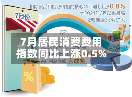 7月居民消费费用
指数同比上涨0.5%-第2张图片