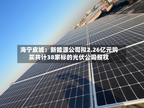 海宁皮城:新能源公司拟2.26亿元购买共计38家标的光伏公司股权-第3张图片