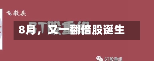 8月，又一翻倍股诞生-第2张图片