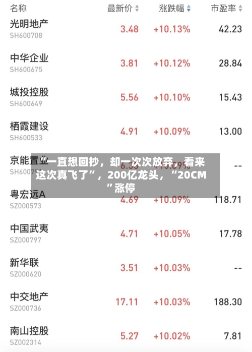 “一直想回抄，却一次次放弃	，看来这次真飞了”，200亿龙头，“20CM”涨停-第3张图片