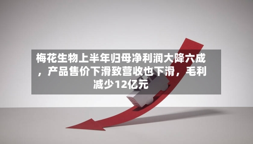 梅花生物上半年归母净利润大降六成，产品售价下滑致营收也下滑，毛利减少12亿元-第2张图片