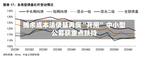 摊余成本法债基再度“开闸” 中小型公募获重点扶持-第2张图片