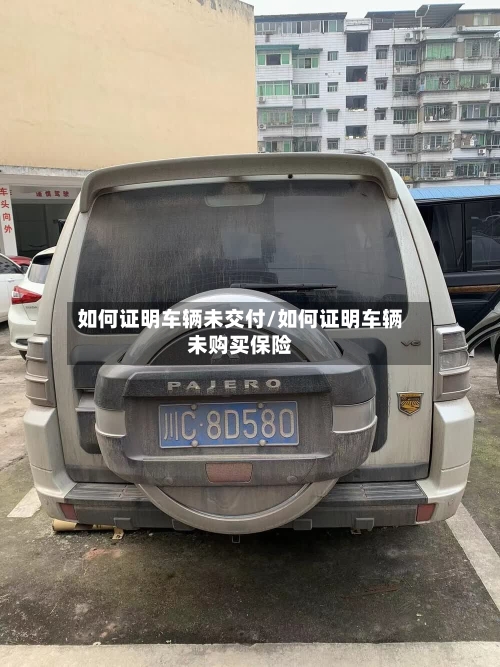如何证明车辆未交付/如何证明车辆未购买保险-第2张图片