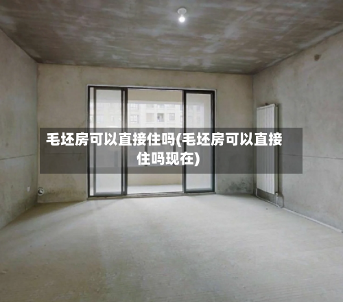 毛坯房可以直接住吗(毛坯房可以直接住吗现在)