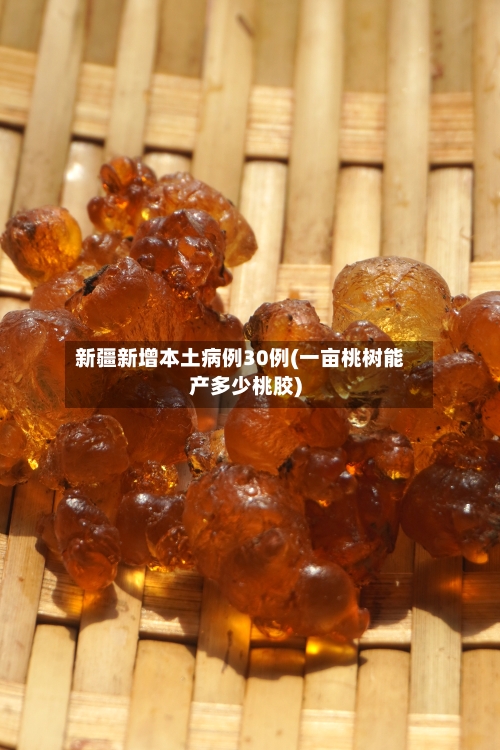 新疆新增本土病例30例(一亩桃树能产多少桃胶)-第2张图片