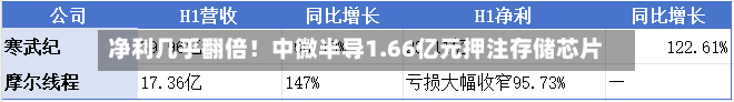 净利几乎翻倍!中微半导1.66亿元押注存储芯片-第3张图片