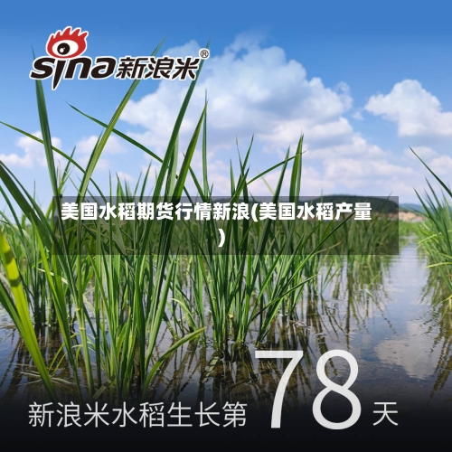 美国水稻期货行情新浪(美国水稻产量)