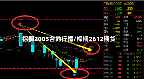 棕榈2005合约行情/棕榈2612期货-第2张图片