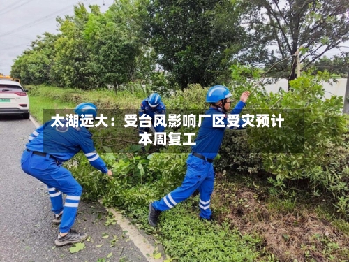 太湖远大:受台风影响厂区受灾预计本周复工-第2张图片
