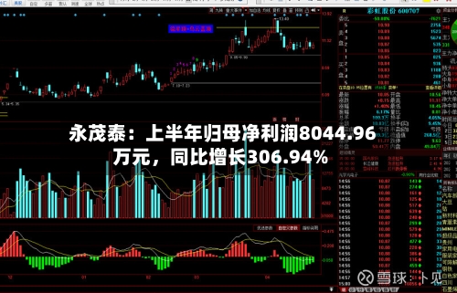 永茂泰：上半年归母净利润8044.96万元，同比增长306.94%-第2张图片
