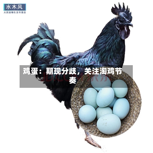鸡蛋：期现分歧，关注淘鸡节奏-第2张图片