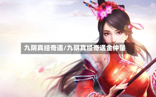 九阴真经奇遇/九阴真经奇遇金仲量-第3张图片