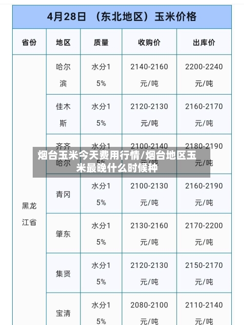 烟台玉米今天费用行情/烟台地区玉米最晚什么时候种