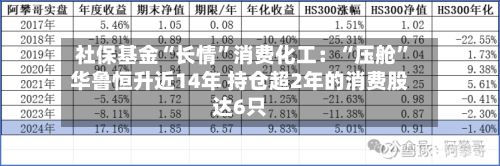 社保基金“长情	”消费化工：“压舱”华鲁恒升近14年 持仓超2年的消费股达6只-第2张图片