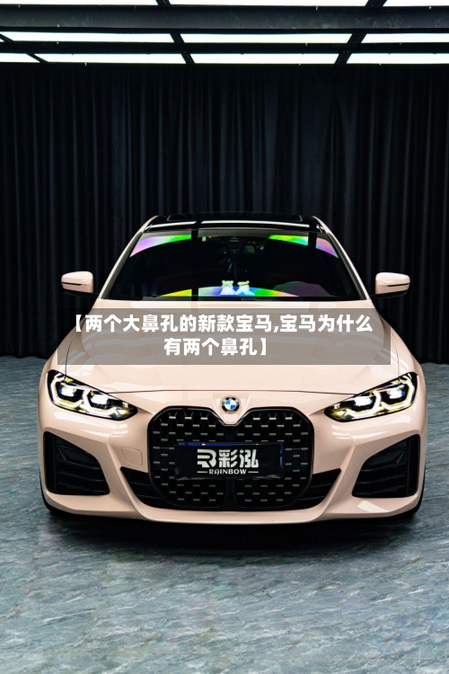 【两个大鼻孔的新款宝马,宝马为什么有两个鼻孔】-第2张图片