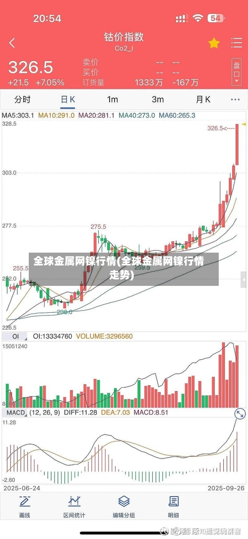 全球金属网镍行情(全球金属网镍行情走势)