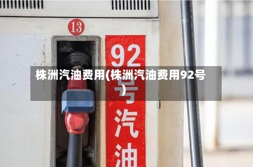 株洲汽油费用(株洲汽油费用92号)