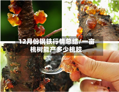 12月份钢铁行情总结/一亩桃树能产多少桃胶