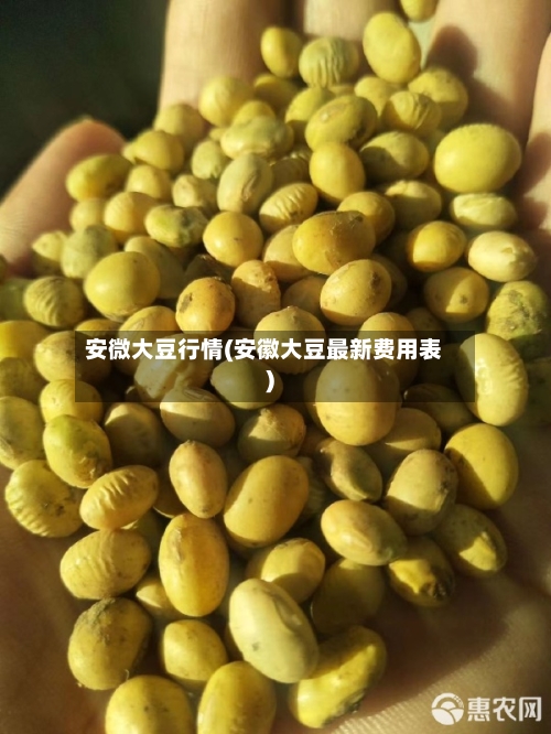 安微大豆行情(安徽大豆最新费用表)