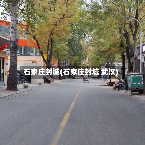 石家庄封城(石家庄封城 武汉)