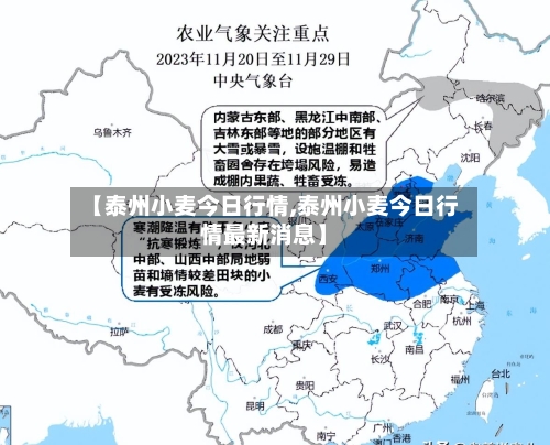 【泰州小麦今日行情,泰州小麦今日行情最新消息】