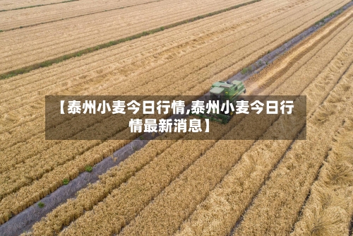 【泰州小麦今日行情,泰州小麦今日行情最新消息】-第3张图片