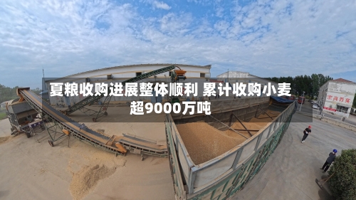 夏粮收购进展整体顺利 累计收购小麦超9000万吨-第2张图片
