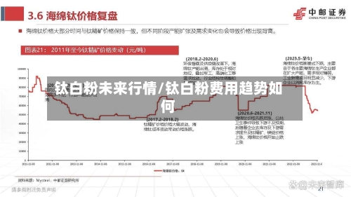 钛白粉未来行情/钛白粉费用趋势如何-第3张图片
