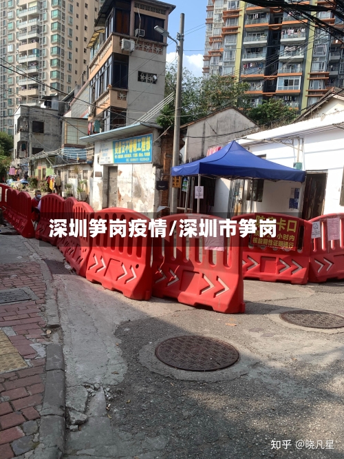 深圳笋岗疫情/深圳市笋岗