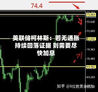 美联储柯林斯：若无通胀持续回落证据 则需要尽快加息-第2张图片