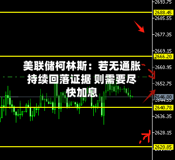 美联储柯林斯：若无通胀持续回落证据 则需要尽快加息-第3张图片