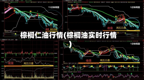 棕榈仁油行情(棕榈油实时行情)-第2张图片