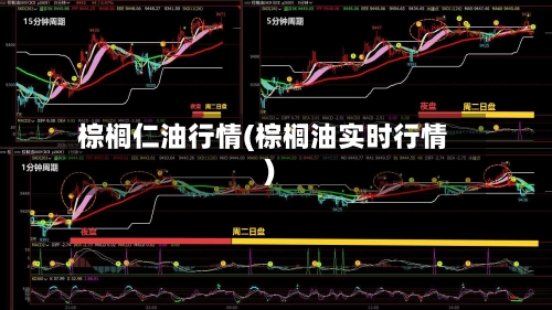 棕榈仁油行情(棕榈油实时行情)