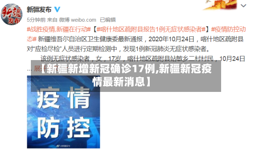 【新疆新增新冠确诊17例,新疆新冠疫情最新消息】-第2张图片