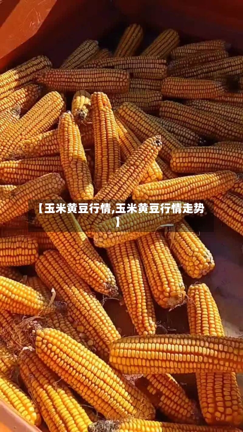 【玉米黄豆行情,玉米黄豆行情走势】