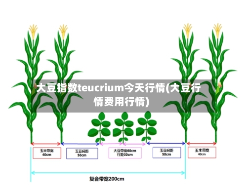 大豆指数teucrium今天行情(大豆行情费用行情)