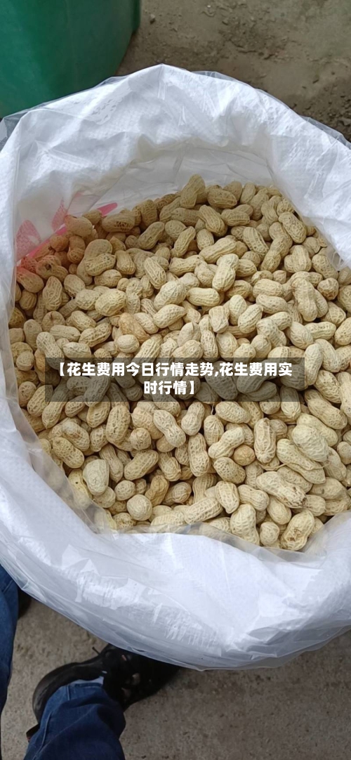 【花生费用今日行情走势,花生费用实时行情】-第2张图片