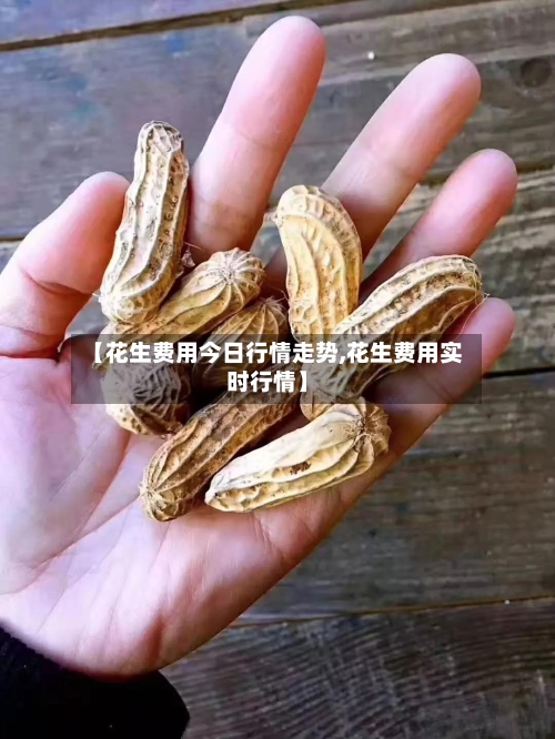【花生费用今日行情走势,花生费用实时行情】