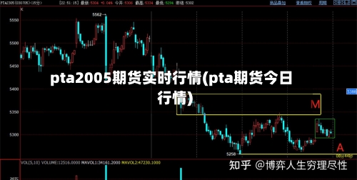 pta2005期货实时行情(pta期货今日行情)-第2张图片