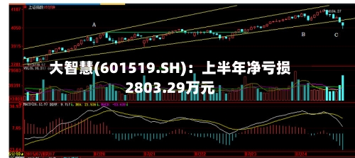 大智慧(601519.SH):上半年净亏损2803.29万元