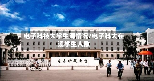 电子科技大学生源情况/电子科大在读学生人数-第2张图片
