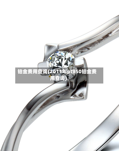 铂金费用查询(2011年pt950铂金费用查询)