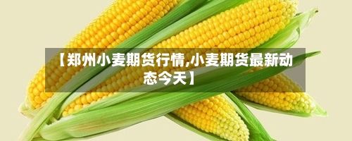 【郑州小麦期货行情,小麦期货最新动态今天】