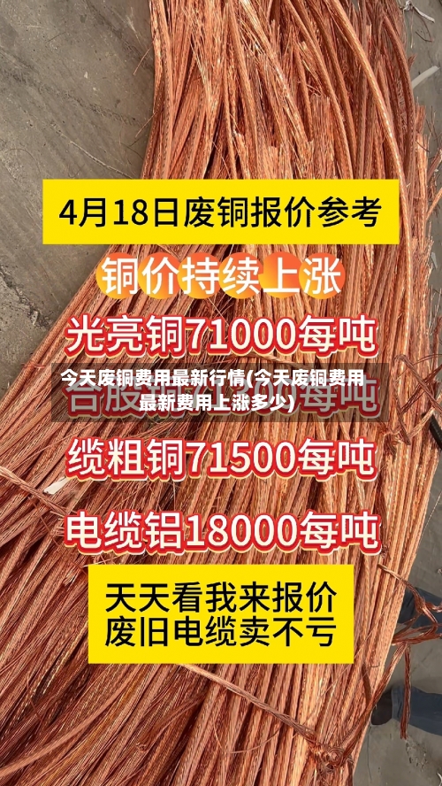 今天废铜费用最新行情(今天废铜费用最新费用上涨多少)