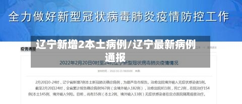 辽宁新增2本土病例/辽宁最新病例通报-第3张图片
